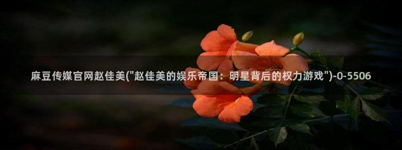 麻豆传媒91官网：麻豆传媒官网赵佳美(\