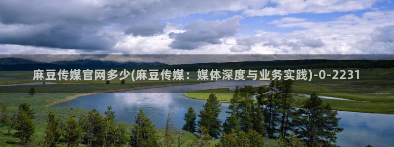 mdpud麻豆传媒官网：麻豆传媒官网多少(麻豆传媒：媒体深度与业务实践)