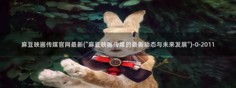 91麻豆精品传媒官网：麻豆映画传媒官网最新(\