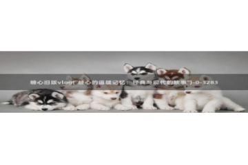 糖心vlog可靠吗：糖心旧版vlog(\