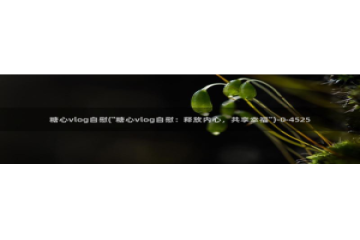 糖心vlog小视频：糖心vlog自慰(\