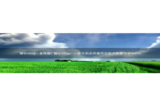 糖心vlog刻晴：糖心vlog一直转圈(\