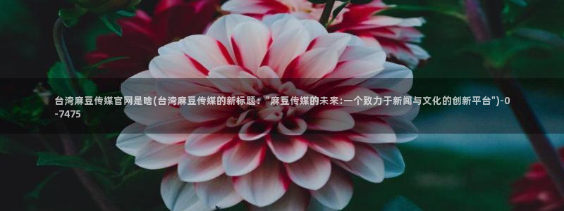 麻豆传媒官网是哪个：台湾麻豆传媒官网是啥(台湾麻豆传媒的新标题：\