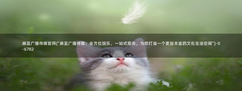 麻豆映传媒官网A：麻豆广播传媒官网(\