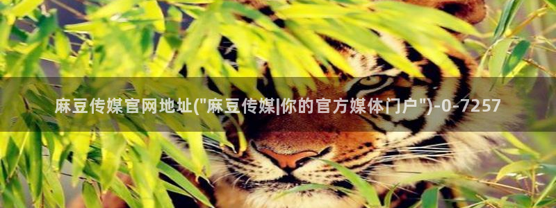 麻豆传媒官网：麻豆传媒官网地址(\