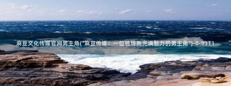 麻豆传媒官网原创：麻豆文化传媒官网男主角(\