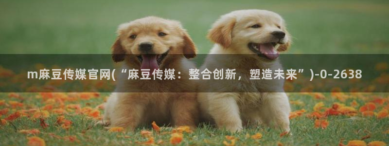 麻豆传媒出品官网：m麻豆传媒官网(“麻豆传媒：整合创新，塑造未来”)
