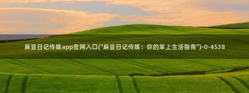 md 麻豆传媒官网：麻豆日记传媒app官网入口(\