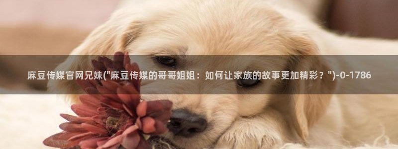 麻豆传媒网址官网