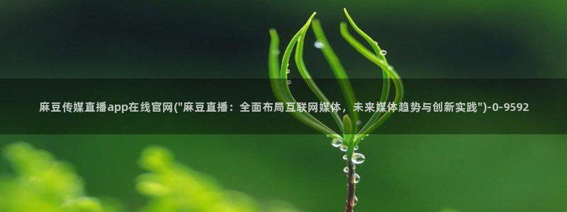 麻豆 传媒官网进入