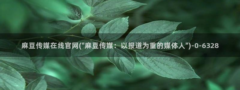 麻豆传媒官网在线免费：麻豆传媒在线官网(\