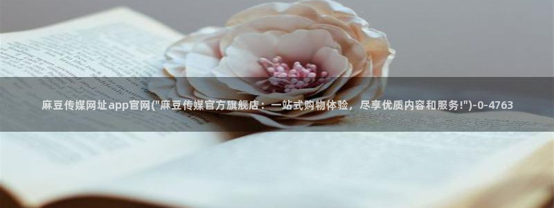 麻豆传媒官网兄妹