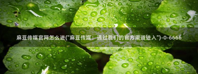 麻豆传媒官网连接
