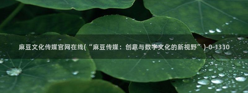 麻豆传媒官网18