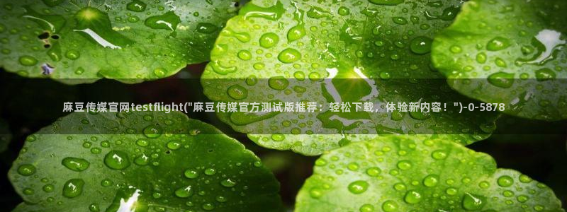 麻豆传媒直播官网 视频