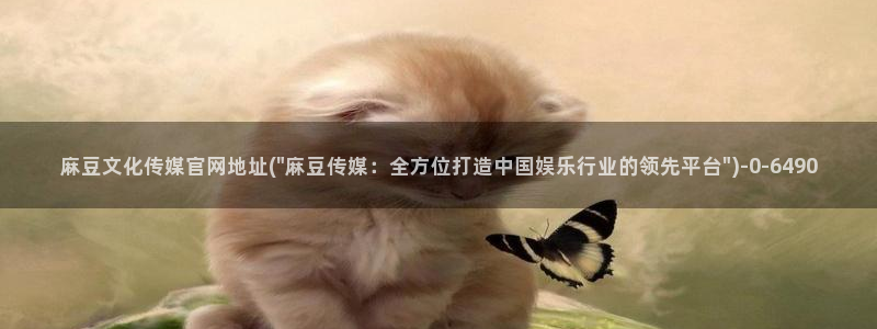 官网麻豆传媒
