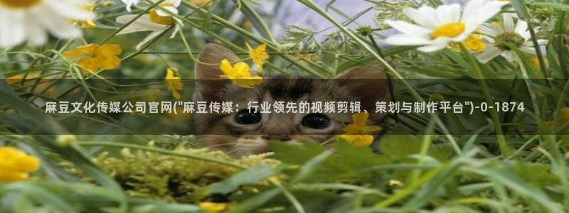 麻豆传媒系列视频官网