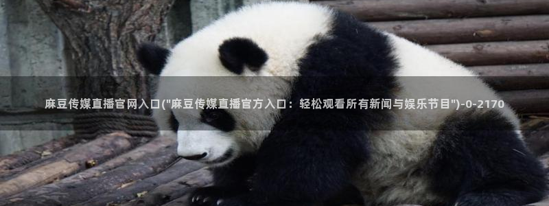 麻豆映话传媒app官网