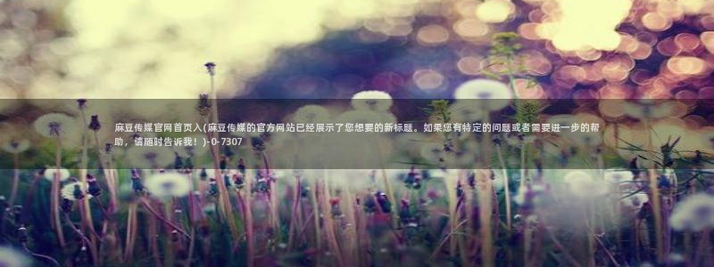 麻豆传媒映画官网