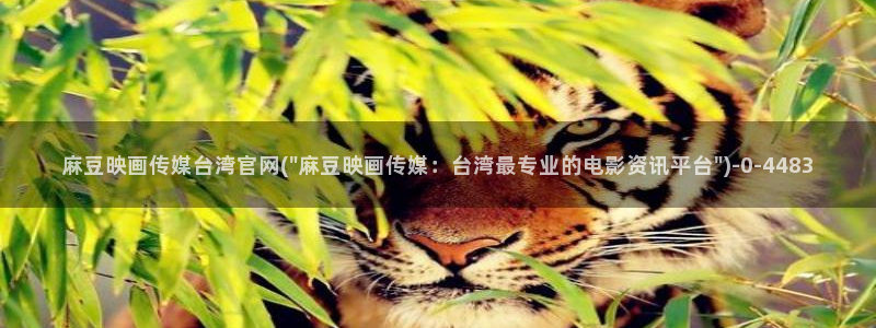 麻豆传媒avapp下载官网