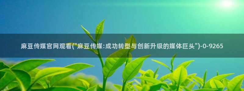 麻豆传媒官网麻豆官网md.pub