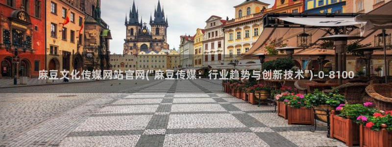 麻豆视传媒 官网入口：麻豆文化传媒网站官网(\
