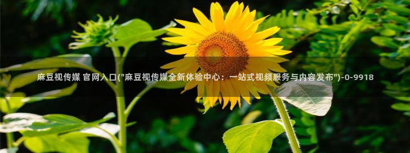 麻豆传媒官网怎么进：麻豆视传媒 官网入口(\